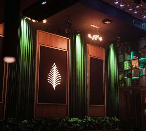 Café de Palma 打造沉浸式熱帶飲品品牌形象與網(wǎng)頁設(shè)計